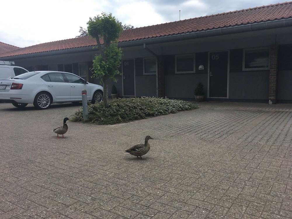 Hotel Christiansminde 4 Stjerner Svendborg Exterior foto